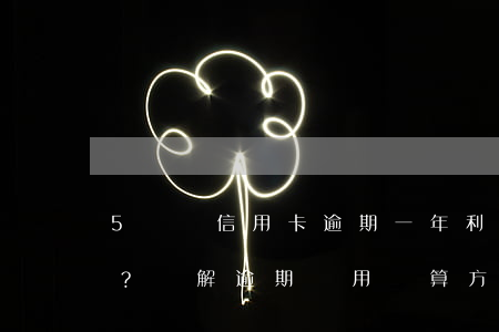 5塊錢信用卡逾期一年利息多少？詳解逾期費用計算方法